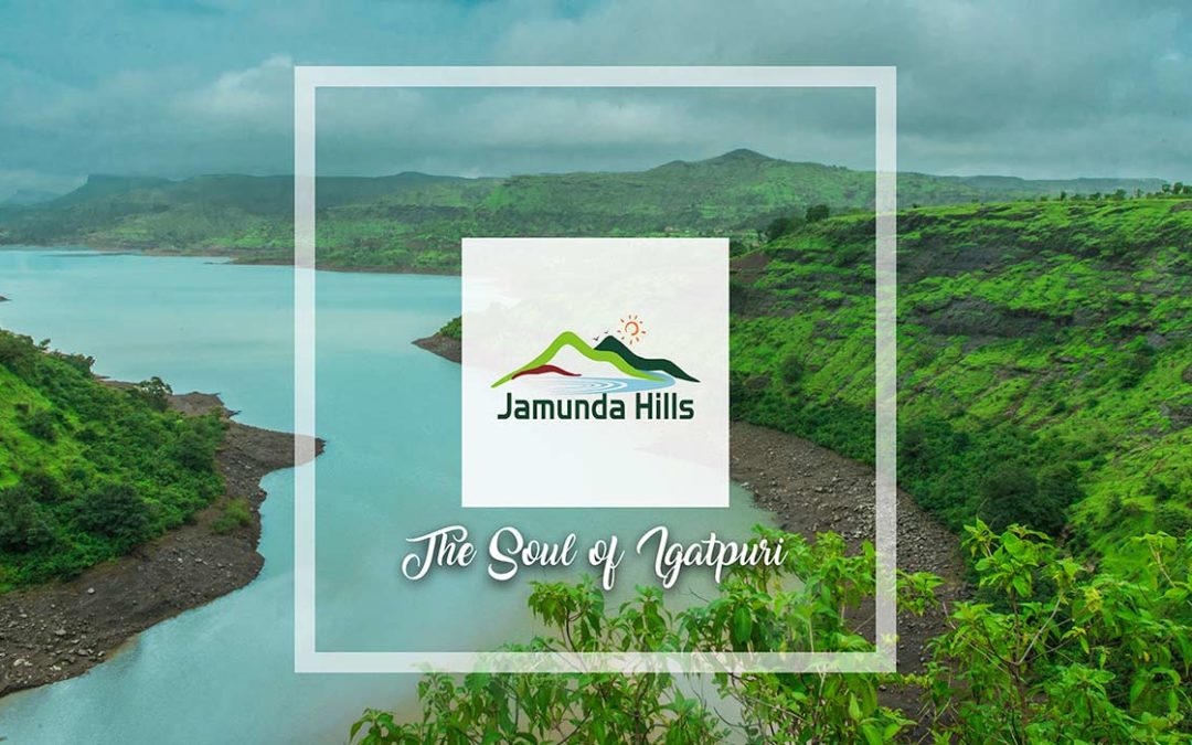 Coffee Table Book & Video As Real Estate Marketing Collateral For Sales | Jamunda Hills