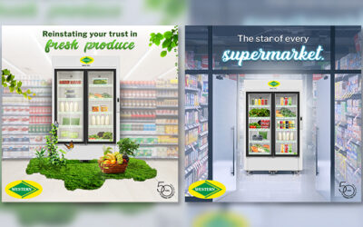 10X increase in impressions & 6X rise in engagement | Revamping Western Refrigeration’s social media strategy